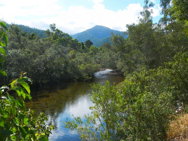 Catch your first glimpse of the clear creek waters on the Creek walk.