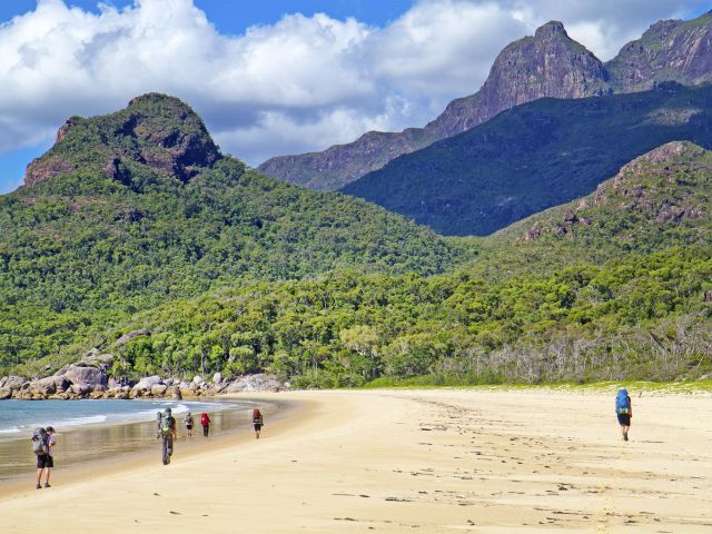 Walk in the shadow of the towering mountain range on the Thorsborne Trail.