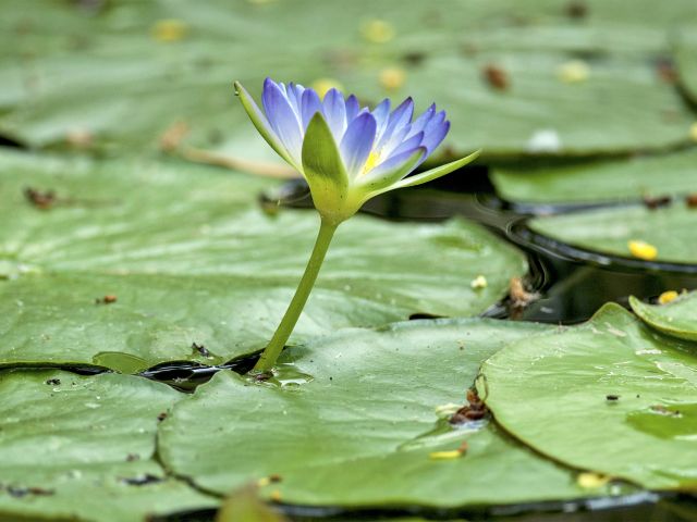 Enjoy the natural beauty.