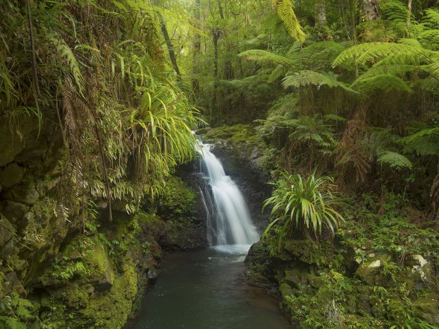 Don't miss Echo Falls on the Albert River circuit!