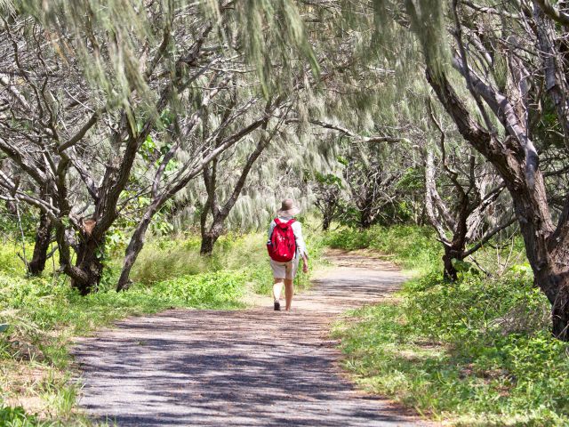 The track leaves the beach and loops back through shady bushland.