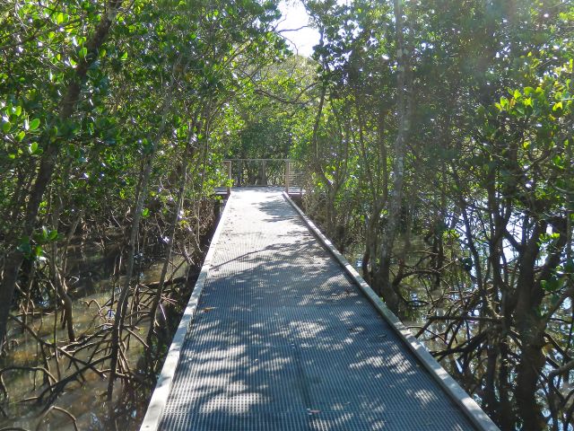 The lookout platform is a great spot for prams and wheelchairs to turn around.