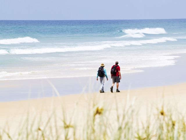 Enjoy sweeping views of the Cooloola coastline on the Cooloola Great Walk.