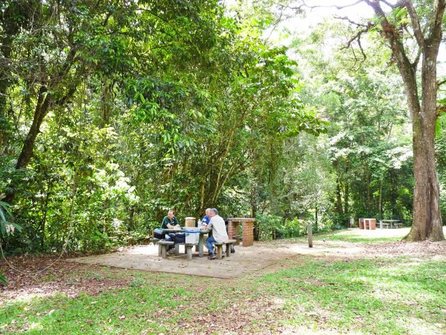 Picnic tables and wood barbecues are provided at Kauri Creek day-use area.