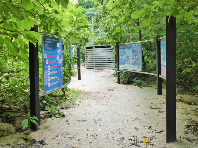 Learn all about the island and the surrounding waters.