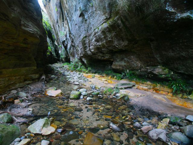 Mickey Creek is a great little side gorge that is well worth exploring.