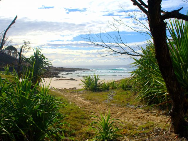 The Honeymoon Bay walking track leads to Honeymoon Bay.