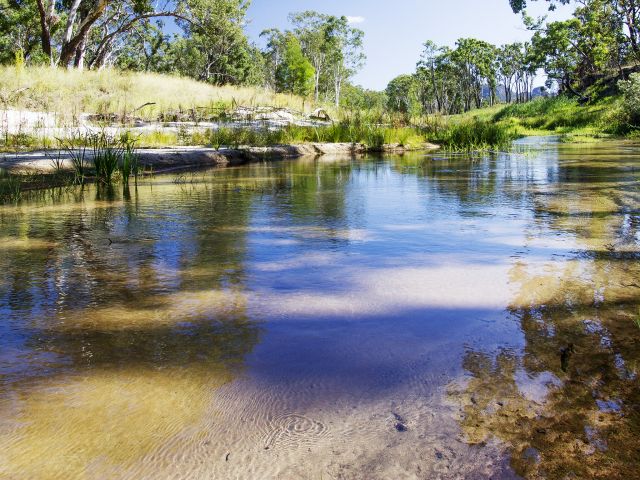Take a picnic lunch and watch the birds flit in and around the creek at Louisa Creek Junction day-use area.