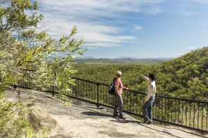Photo of the Lookout at Davies Creek Falls circuit track