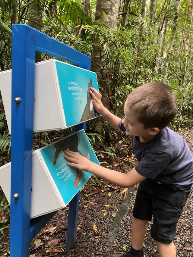 Photo of child on Lake Eacham children’s walk.