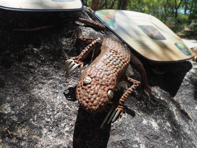 Meet the wildlife. 