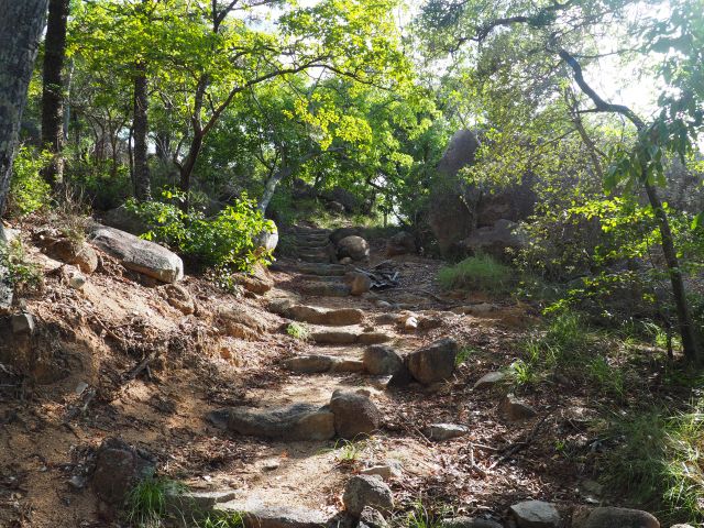 Rocky shaded steps of the walking track through the coastal forest to the Searchlight Tower.