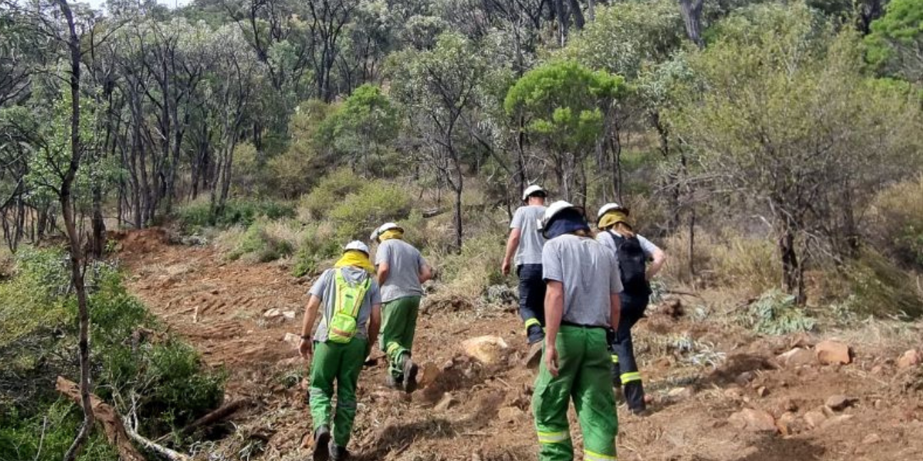 Photo of a group of 5 Rangers walking up dirt track surrounded by dry shrubby forest.