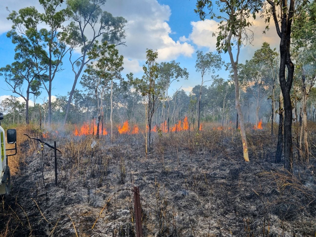 Photo of low burning fire through grassland with unburnt trees