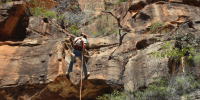 Ranger abseiling down a cliff.