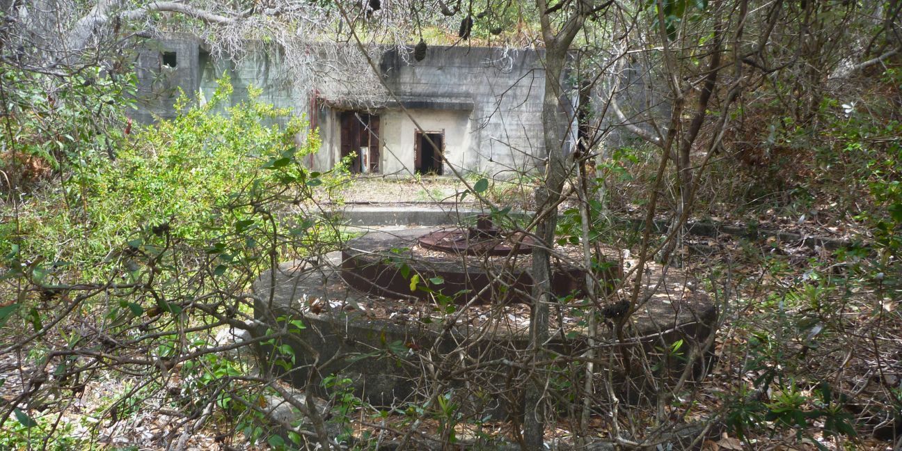 Concrete gun mount in the foreground with a concrete bunker in the background, slightly hidden among vegetation.