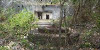 Concrete gun mount in the foreground with a concrete bunker in the background, slightly hidden among vegetation.