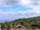 Eco cabins at O'Reilly rainforest retreat