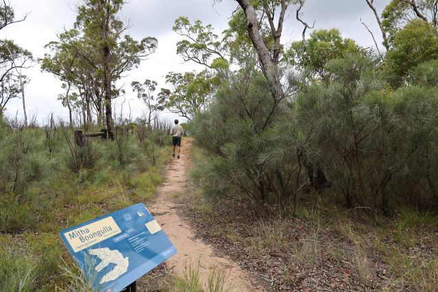 A person walking on sandy walking track through low woodlands with a blue interpretive sign in the foreground.