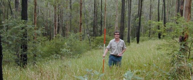 Ranger carrying out a forest reserve assessment surrounded by trees.