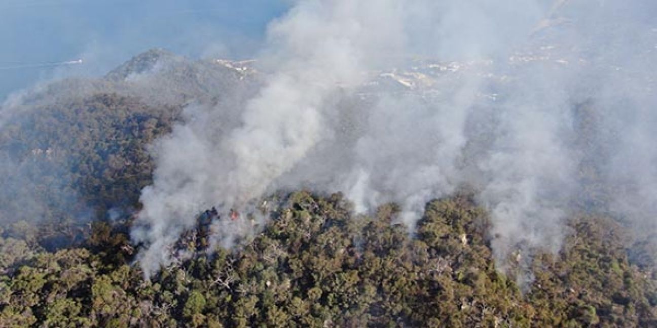 Springbrook Qpws QPWS Fire Program News | Parks and forests | Department of the ...