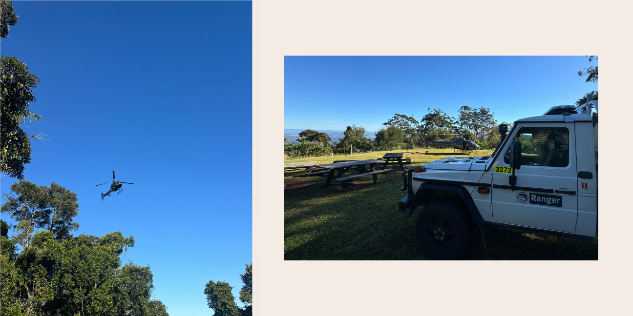 A collage of two images showing a helicopter coming into land with trees in the foreground and QPWS fire vehicle parked in front of a helicopter.