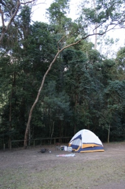 Charlie Moreland camping area. 