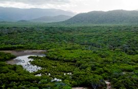 Image of Cape Melville landscape.