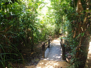 Enjoy the Butterfly walk, which is wheelchair-accessible (with assistance) at Tully Gorge camping area. 