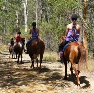 Horseriding is a great way to experience Nerang's shared trails. 