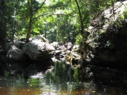 Photo of the tranquil pools of Stoney Creek.