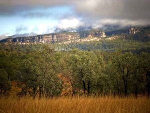 Image of the road into Carnarvon Gorge allows excellent views of the park's cliffs.