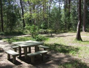 Wooroi day-use area, Tewantin National Park.