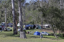 Peak times mean peak crowds at Peach Trees camping area. 