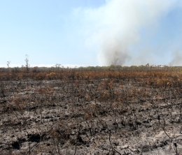 Never begin a walk in the park if you can see smoke. This image shows the heath plain after a wildfire in September 2009.