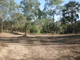 Basin Hole camping area