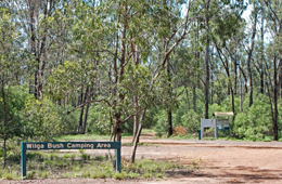 Wilga bush camping area offers secluded camp sites. 