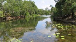 Catfish Waterhole. 