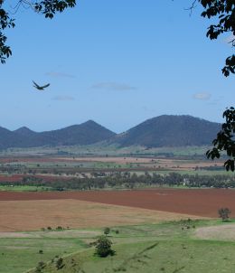 Image of the view of the surrounding farmland with Mount Walla in the distance.