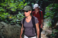 Image of people on a short walk through the rainforest.