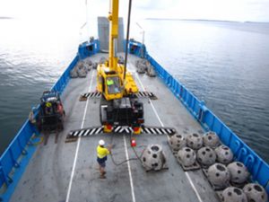 Reef ball deployment. 