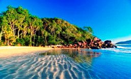 Take care of Hinchinbrook's pristine environment. 