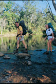 Image of walkers crossing a creek. There are a number of creek crossings along the Wet Tropics Great Walk.