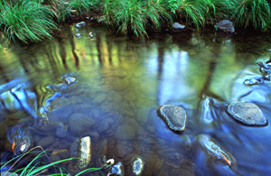 Image showing the walk eventually descends from the Great Dividing Range to once again meet Carnarvon Creek.