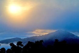The Conondales also have a long human history. This is the land of the Kabi Kabi people. 