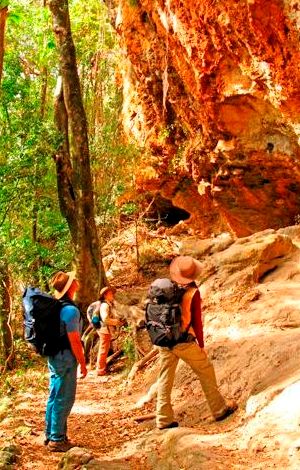 Image of walkers discovering the beauty, mystery and history along the 54km Gold Coast Hinterland Great Walk.