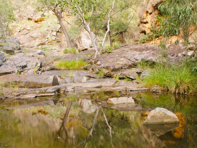 Ooline Creek has delightful rock pools to be discovered on the Ooline Creek track.
