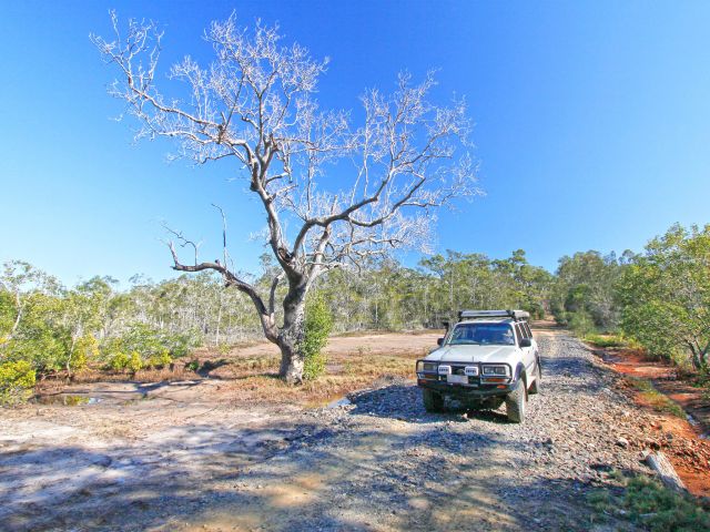 Four-wheel-drive tracks offer a challenging adventure.