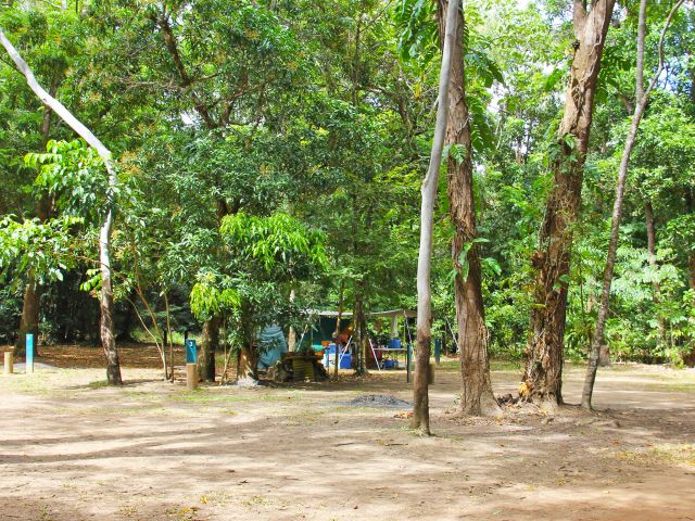 Enjoy camping in the rainforest by a river or creek at Cooks Hut, Gordon Creek and Rainforest camping areas.
