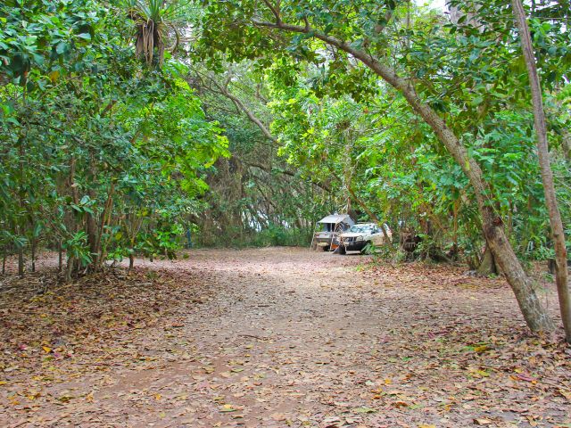Pick a shady camp site under the forest canopy at Chilli Beach camping area.